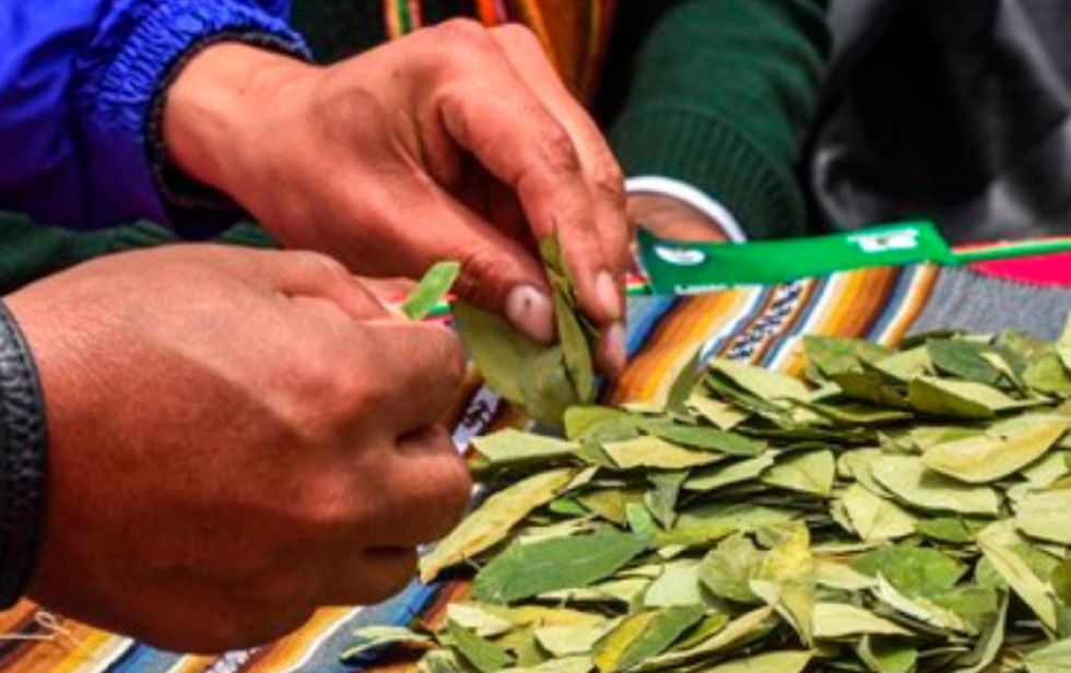Suspenden la concentración para celebrar el día del acullico 