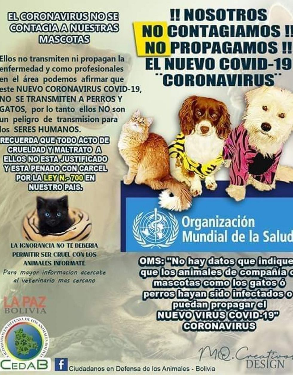 Piden permiso para atender a las mascotas enfermas durante la cuarentena