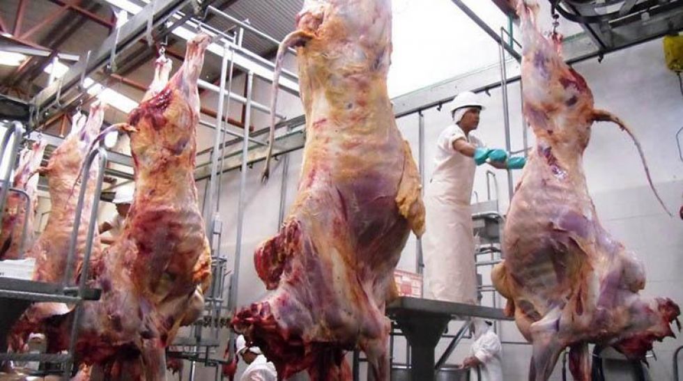 Frigoríficos garantizan abastecimiento de carne