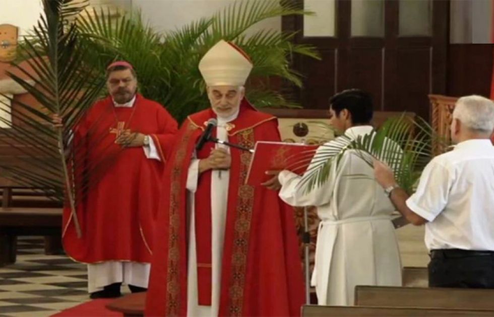 Iglesia Católica inicia Semana Santa con Domingo de Ramos en casa