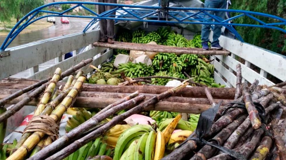 Productores del Trópico donan frutas en Cochabamba
