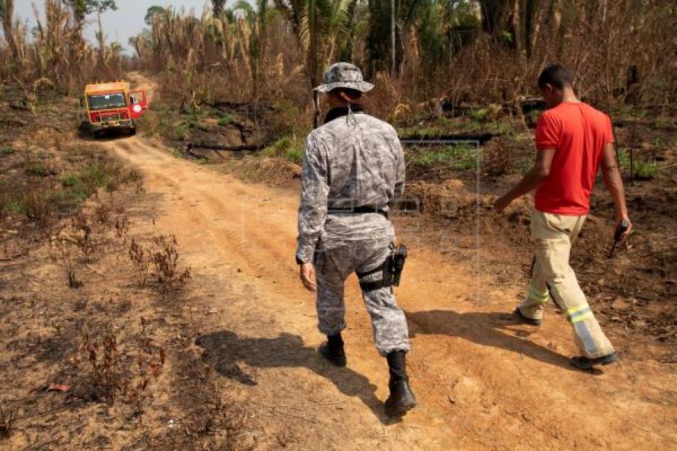 Bolsonaro autoriza el envío de Ejército para combatir la deforestación en la Amazonía