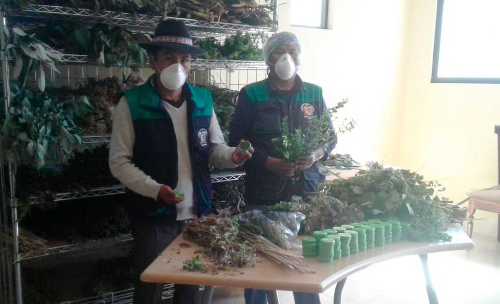 Kallawayas elaboran pomadas y jarabes para encarar la pandemia