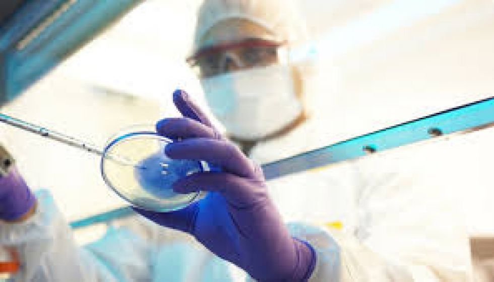 Gobierno admite “saturación” de laboratorios y la falta de pruebas para diagnosticar COVID-19