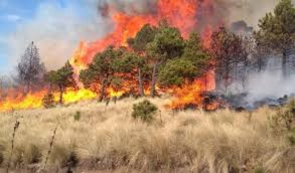 Alertan 3.926 quemas en medio de la pandemia y Santa Cruz tiene casi 3.000