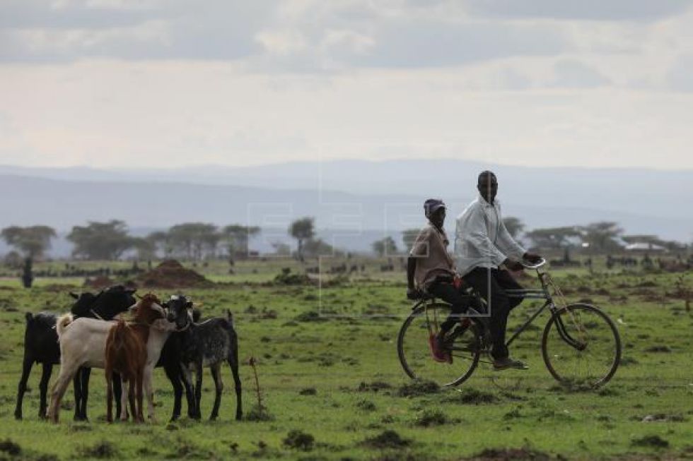 Millones en Oriente Medio y norte África con problemas de alimentos por COVID