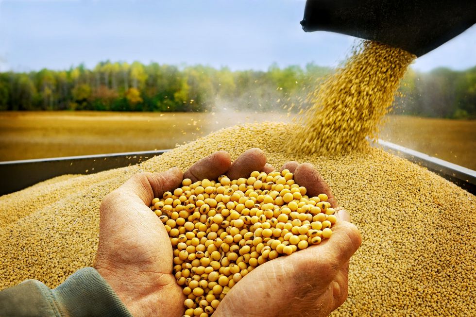 En 13 años las exportaciones agropecuarias de Bolivia superaron los $us 18.000 millones