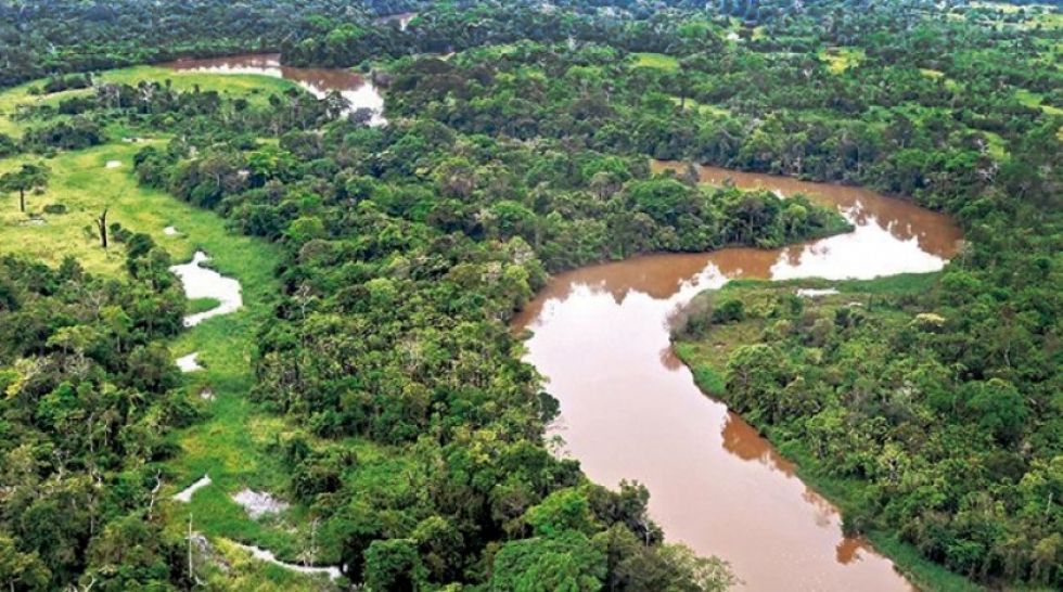 La COVID-19 amenaza de muerte a etnias de la Amazonía boliviana