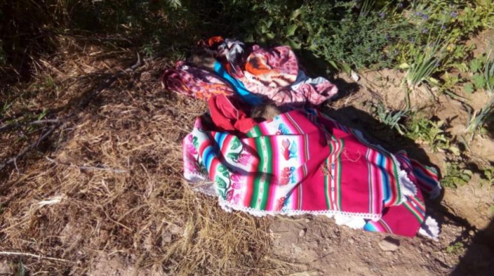 Fiscalía confirma infanticidio de gemelos en Cochabamba