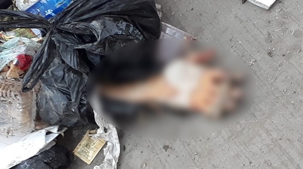 Hallan un brazo mutilado en un basural en Quillacollo