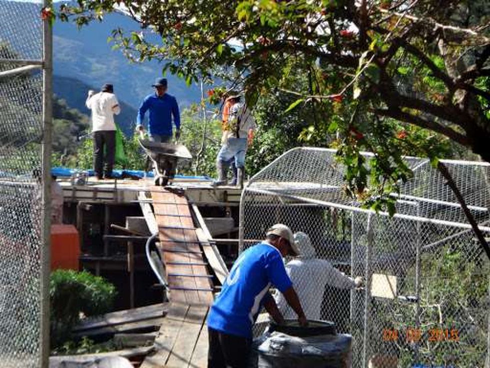 Refugio donde piensan trasladar al zorro Antonio pide donaciones para seguir funcionando