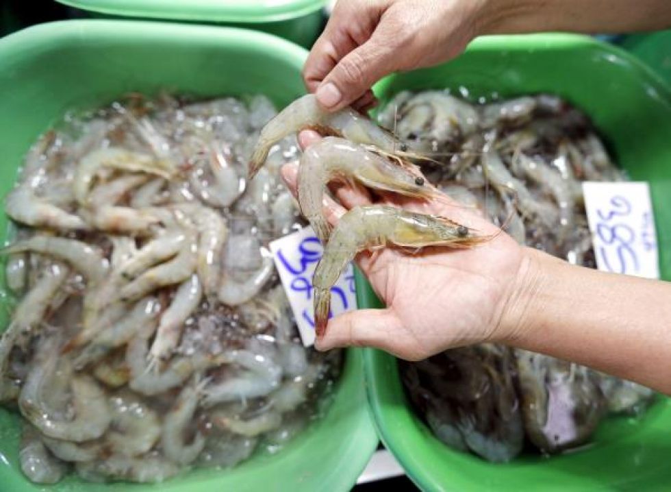 China suspende importación de gambas de Ecuador al detectar virus en paquetes