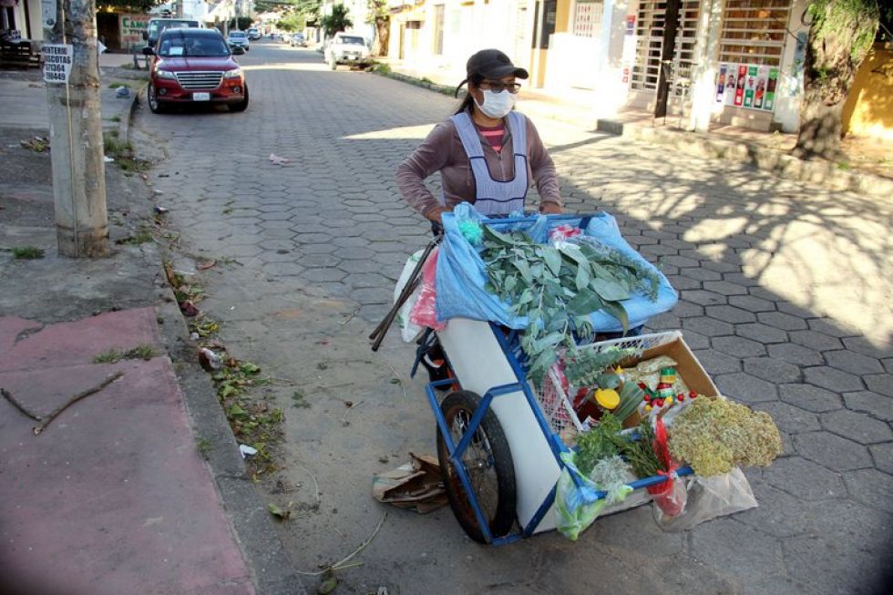 Un carro de eucalipto en vez del bufete, historias de resiliencia en Bolivia