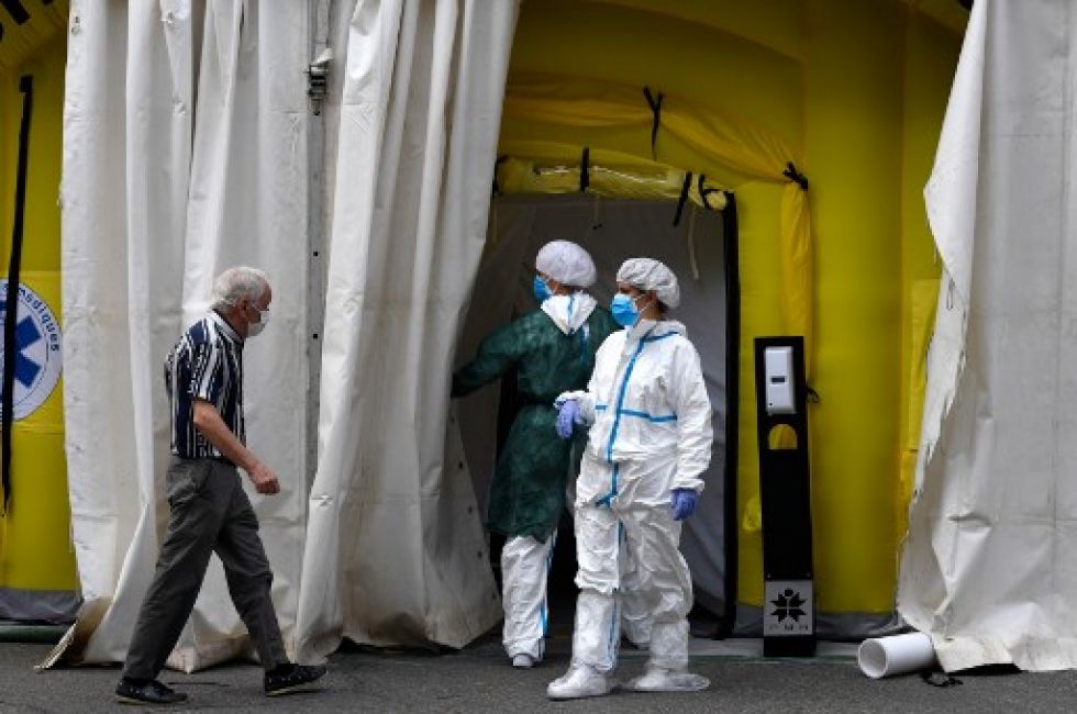Sacrificarán casi 100.000 visones con coronavirus en España