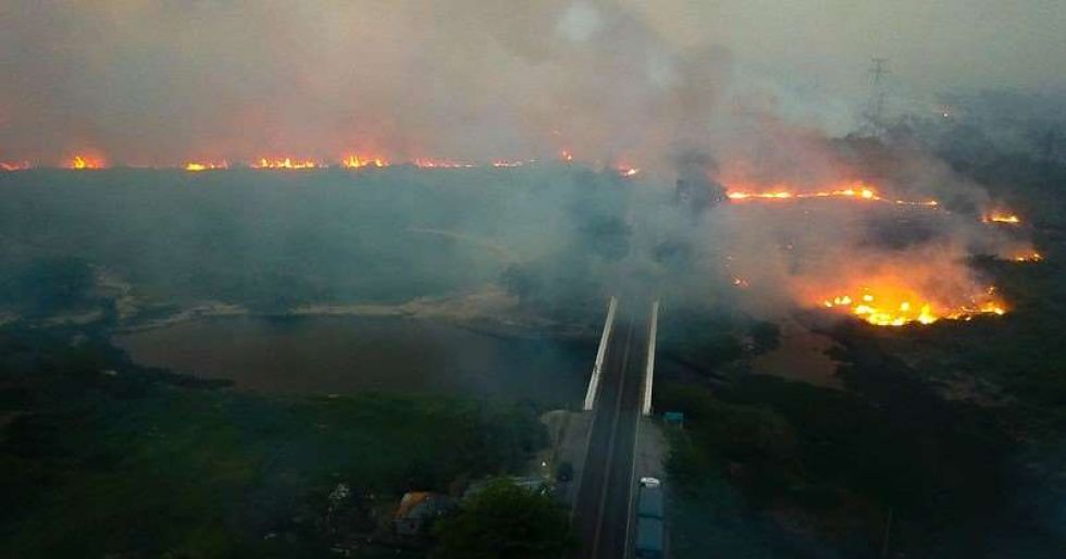 Los incendios se triplican en el Pantanal brasileño