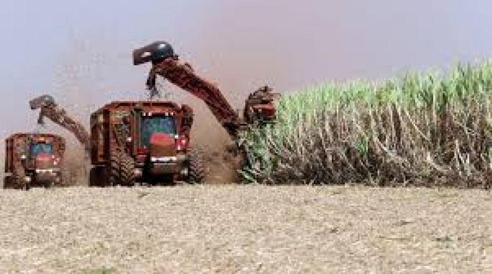 La pandemia acelera la digitalización del campo en Brasil