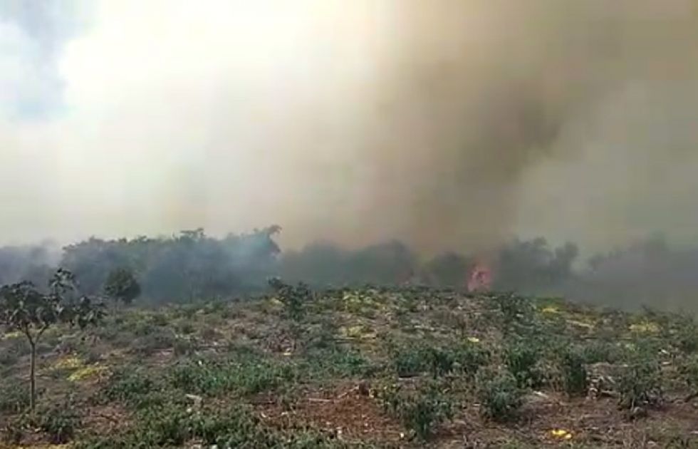 Incendio consume cultivos agrícolas y vegetación tropical en Cochabamba