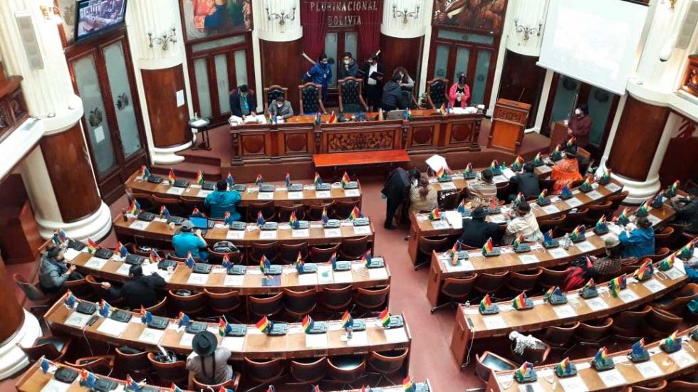 Asamblea envía a Comisión observaciones de Añez  al Bono Contra el Hambre
