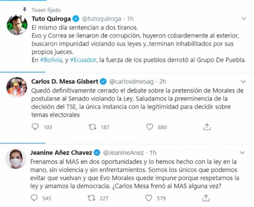 Candidatos celebran fallo judicial sobre inhabilitación de candidatura de Evo Morales 