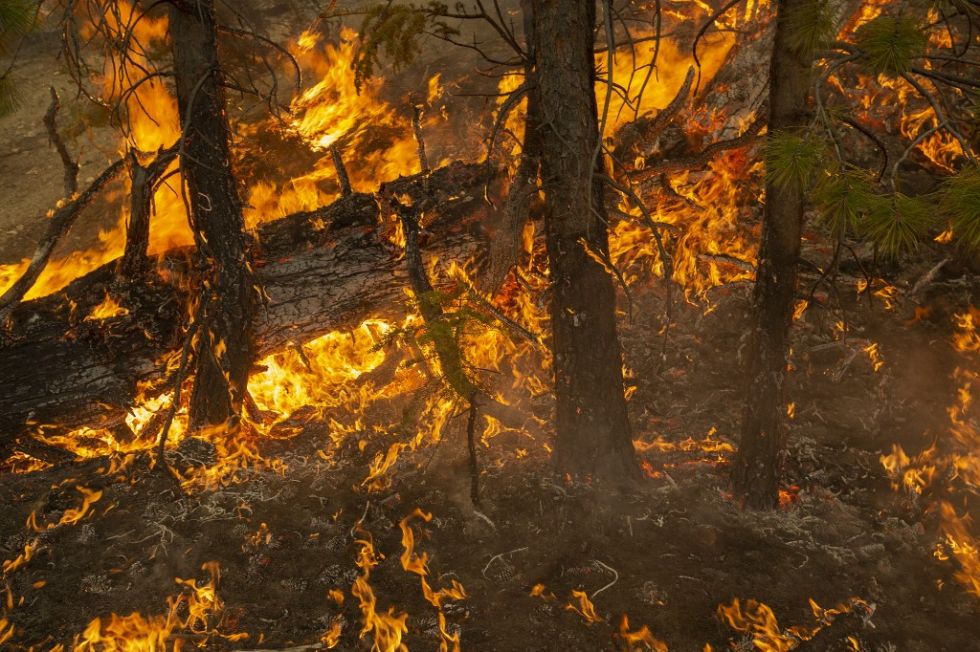 Familias desafían evacuaciones por incendios en California
