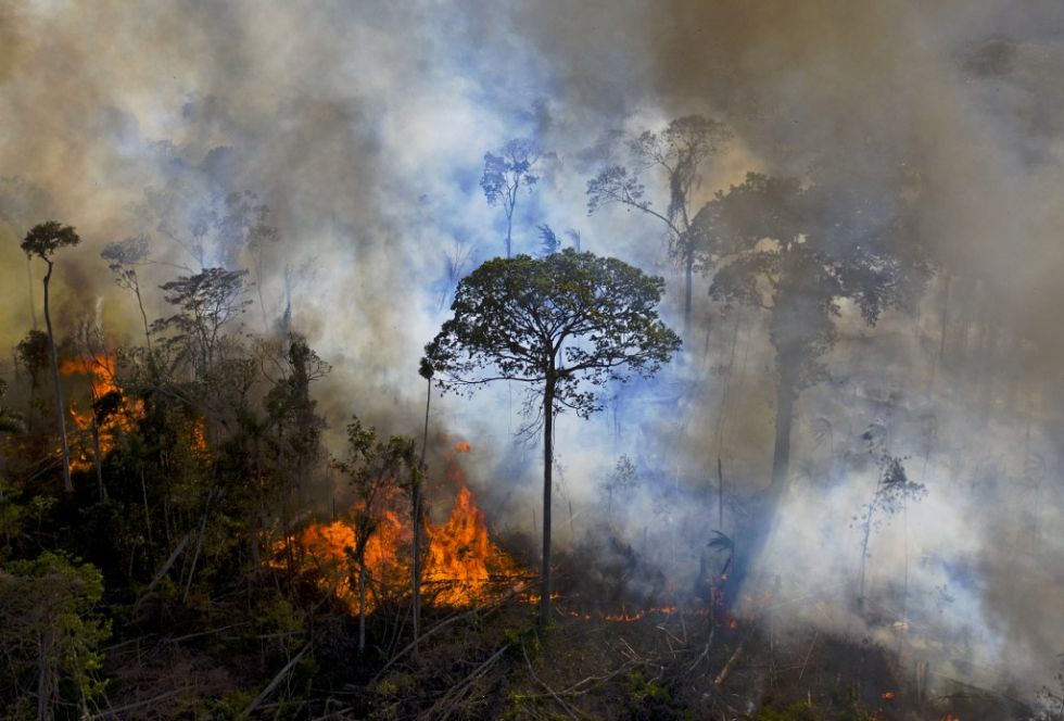 Bolsonaro denuncia en la ONU "brutal campaña de desinformación" sobre la Amazonía