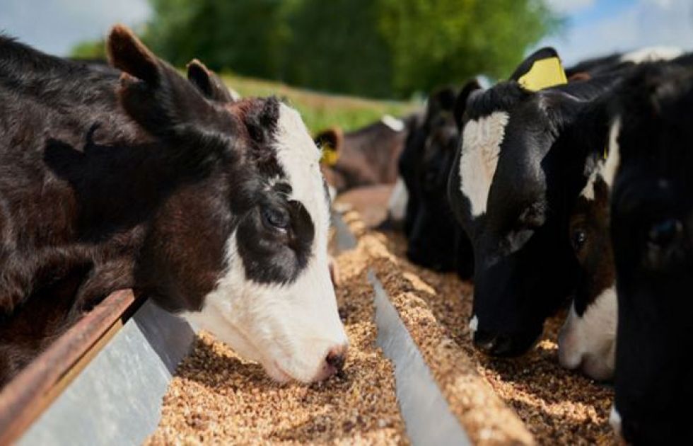 Agropecuarios declaran emergencia por incremento del precio de la soya