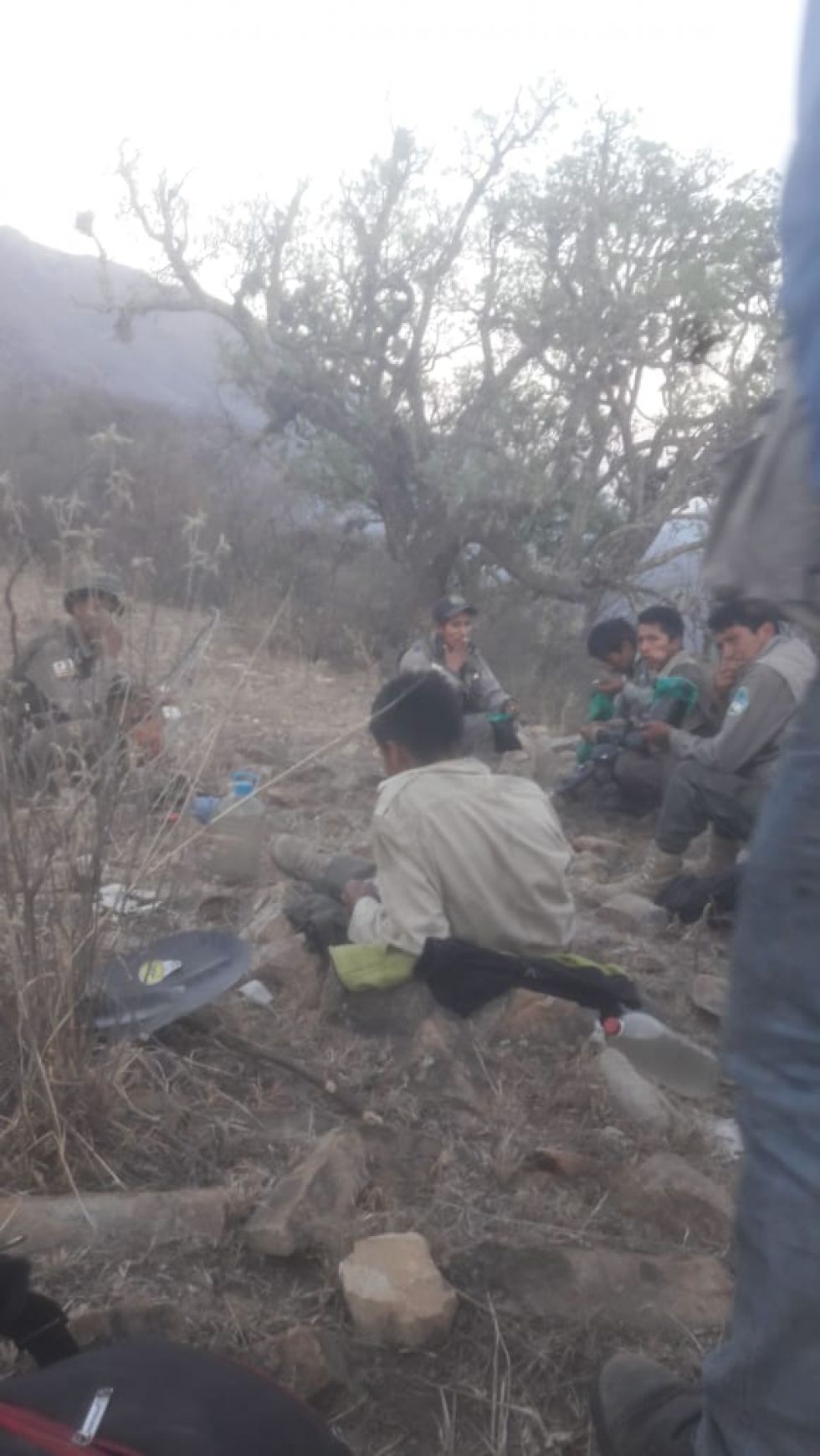 Chuquisaca: Lluvias apagan incendios que amenazaban la reserva de El Palmar