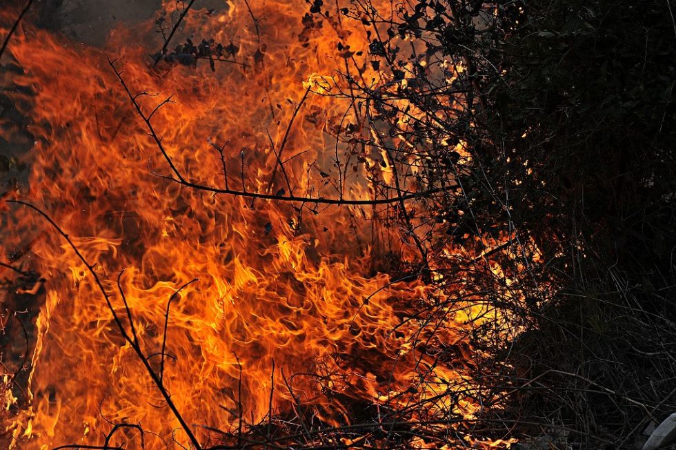 Asad visita una región incendiada de Siria y habla de "catástrofe"