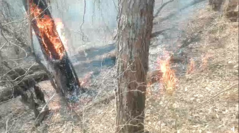Alertan que ceniza de incendios contamina el agua de la zona de Macharetí