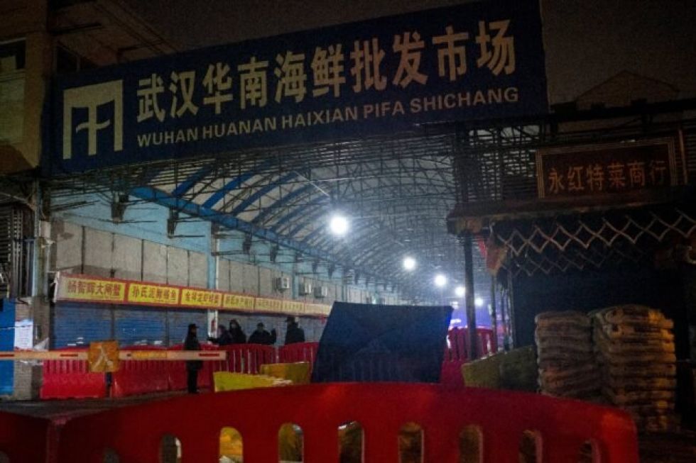 Un año después de la primera muerte en China, el origen del virus sigue siendo una incógnita