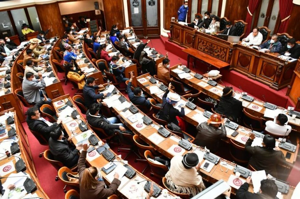 Cámara de Diputados sanciona Ley de Emergencia Sanitaria pese a reclamos del sector médico