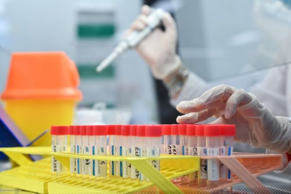 Más contagiosas, más resistentes, más temibles : las variantes del coronavirus, a examen