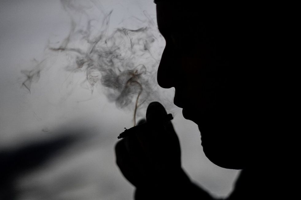 México está a un paso de despenalizar marihuana recreativa
