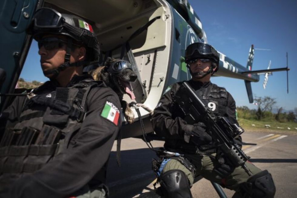 El olfato canino está al servicio de la lucha contra la covid-19 en Latinoamérica