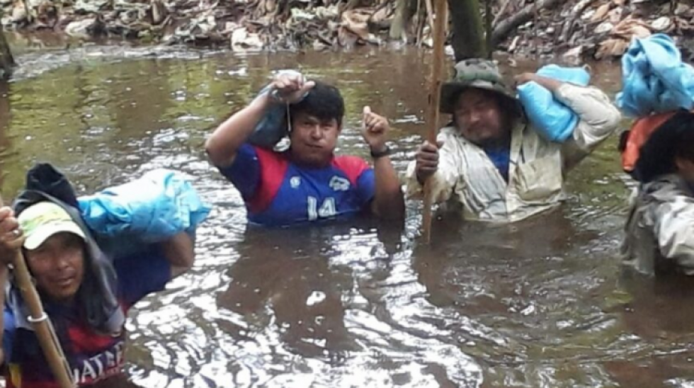 Indígenas movima preservan la naturaleza y recolectan cacao para generar ingresos