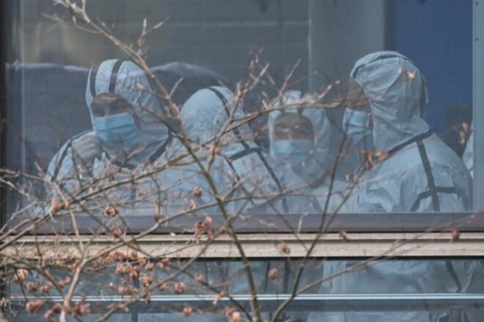 Expertos de OMS consideran probable que covid llegara a los humanos desde un animal
