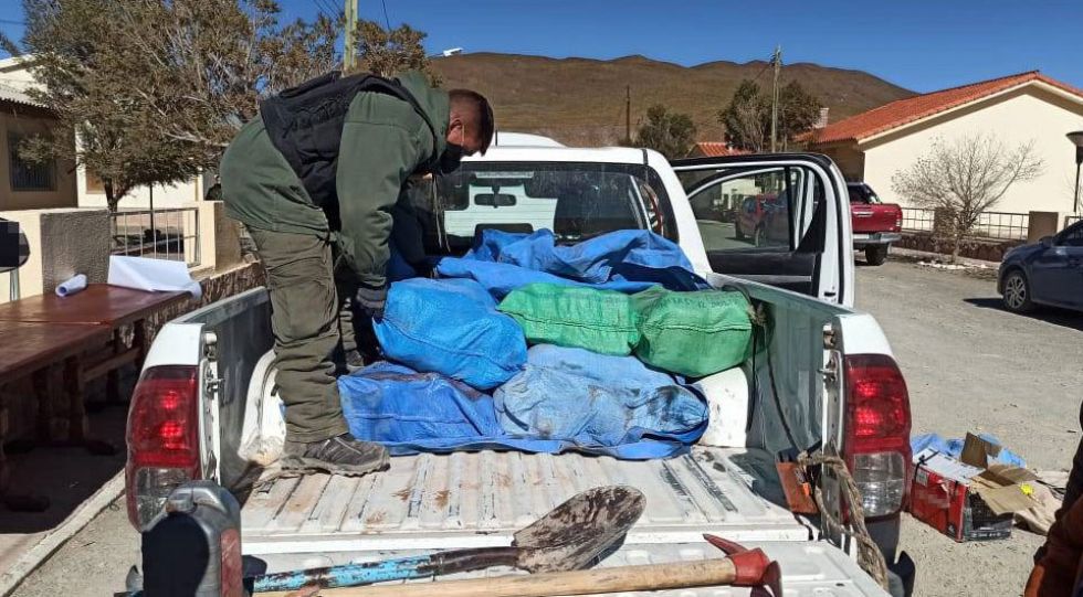 En Argentina detienen a boliviano que trasladaba casi 150 kilos de droga