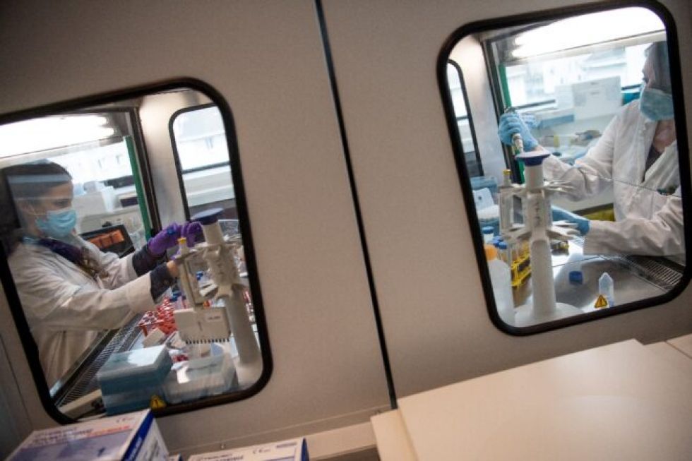 OMS critica “inaceptable” lentitud de vacunación en Europa y pandemia se agrava en Brasil