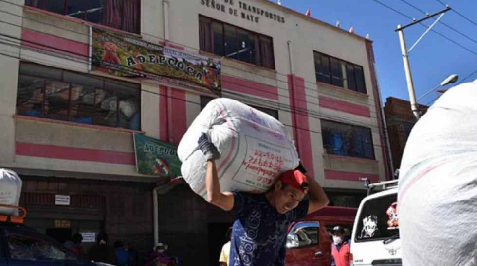 Diputado del MAS advierte que mercado de coca en Kalajahuira es ilegal y solicita informe