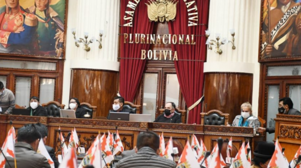 Diputados aprueban segundo "perdonazo" para recuperar Bs 600 millones impagos a Aduana e Impuestos