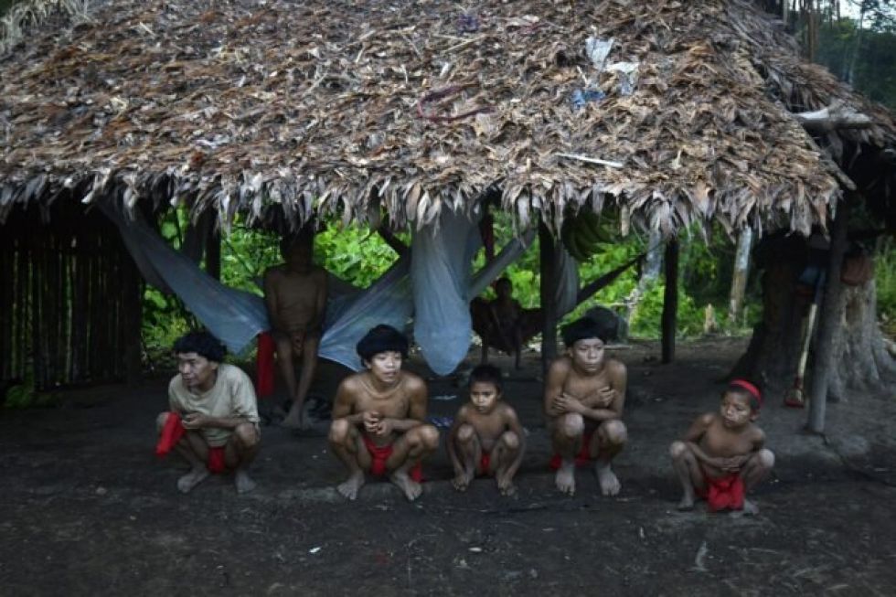Juez ordena a gobierno brasileño proteger a Yanomami y Mundurucu, víctimas de invasiones