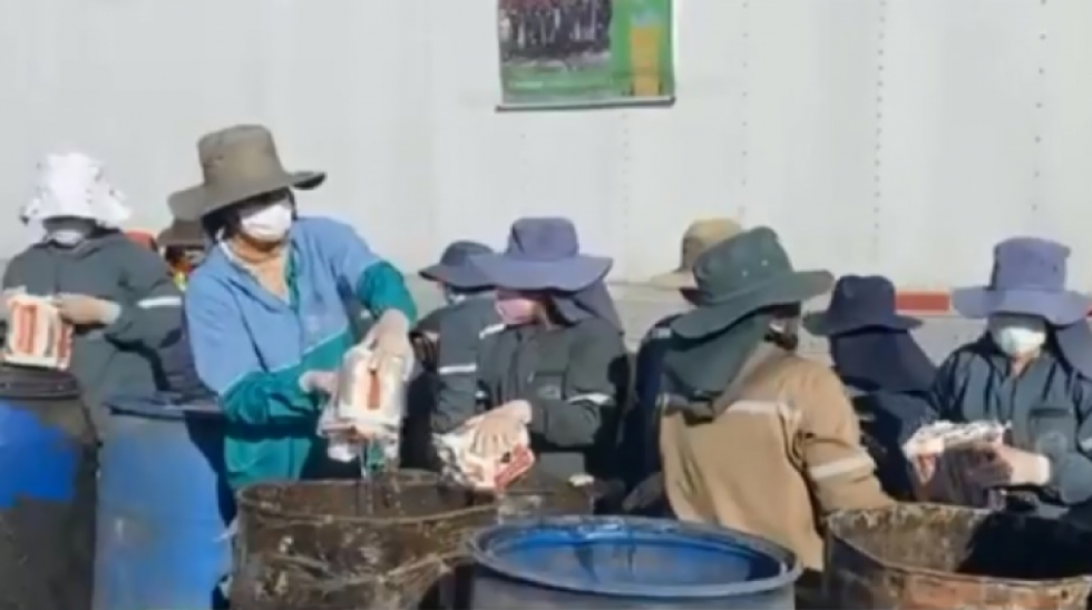 Decomisan 46 toneladas de bebidas alcohólicas al contrabando y los convertirán en compost 