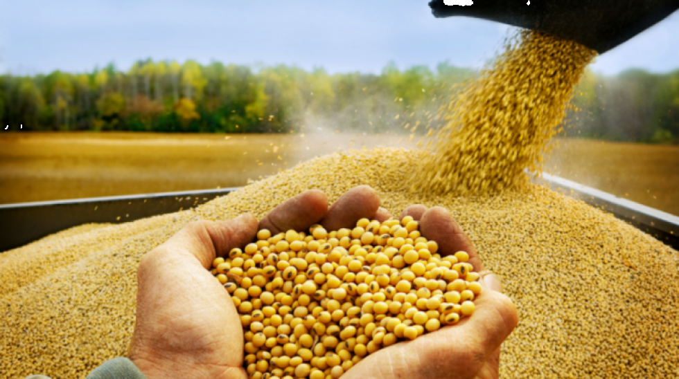 Bolivia registra mayor superávit comercial en siete años y ventas no tradicionales repuntan