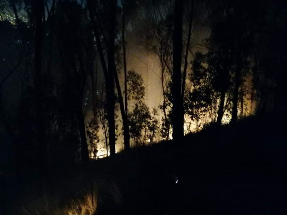 Operativo de la Alcaldía de La Paz interviene quemas forestales en áreas protegidas