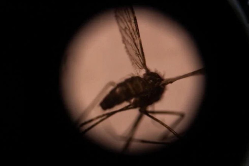 China erradicó la malaria después de 70 años de lucha