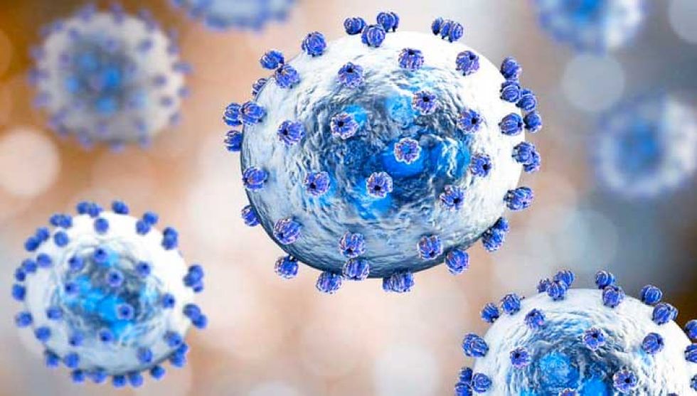 Alertan sobre brote de arenavirus en el norte paceño