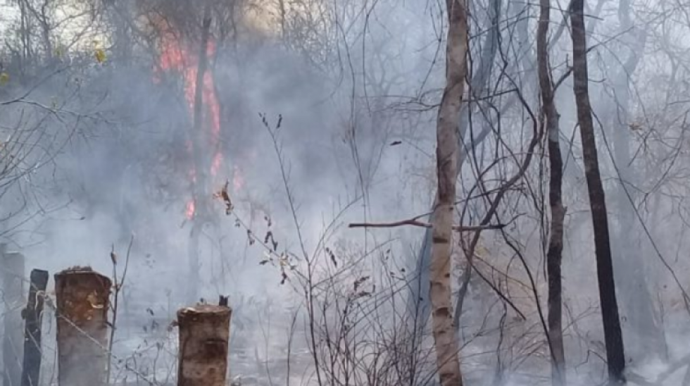 Bolivia acumuló 15.815 focos de calor en junio, 452 se concentraron en áreas protegidas