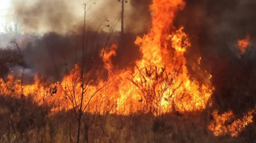 Gobierno identifica a responsables de incendios en municipios de San Matías y Roboré
