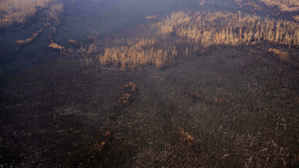 Incendios forestales en Siberia se agravan, mientras el humo ya alcanzó el Polo Norte