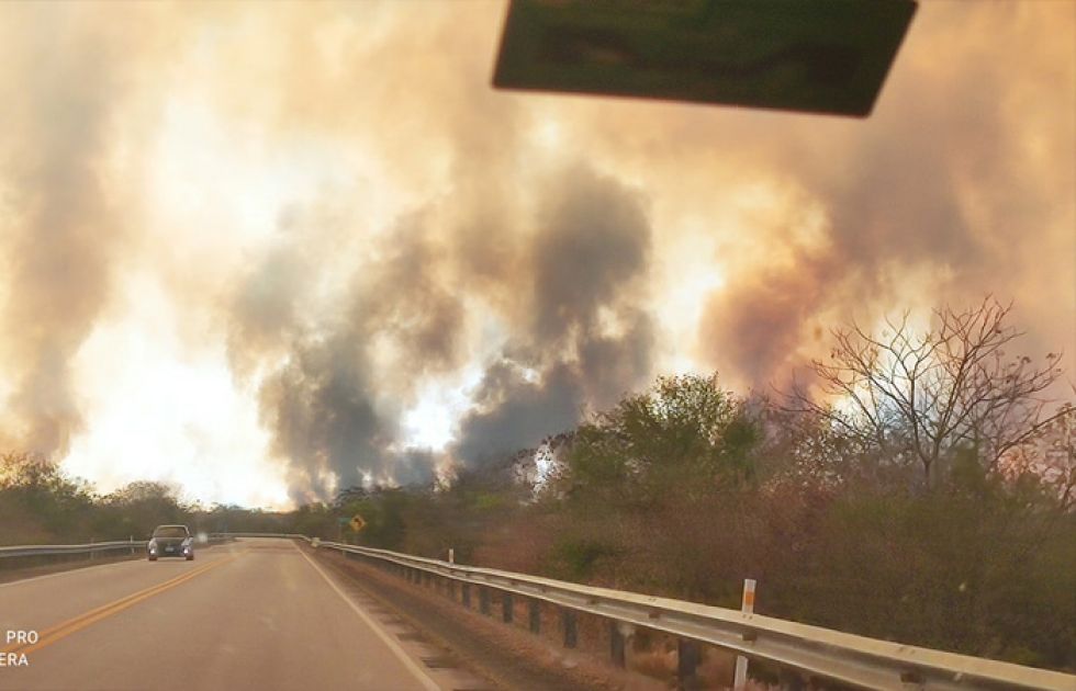 Anuncian que fiscalía identificará a dueños de haciendas donde se originaron los incendios